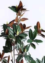 Lovely Artificial Plants And Trees Magnolia Tree