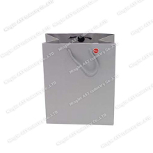 Recording Paper Bag Promotional Music Paper Bag Gift