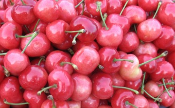 Fresh Cherry