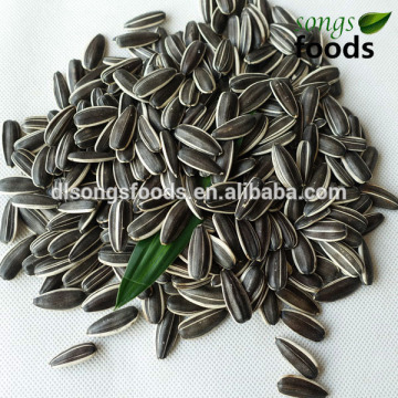 Chia seeds Type and Natural Style Chia seeds