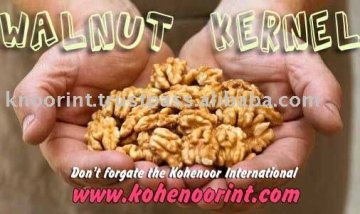 The Hot Sell of Walnut Kernels Exporter: Kohenoor International