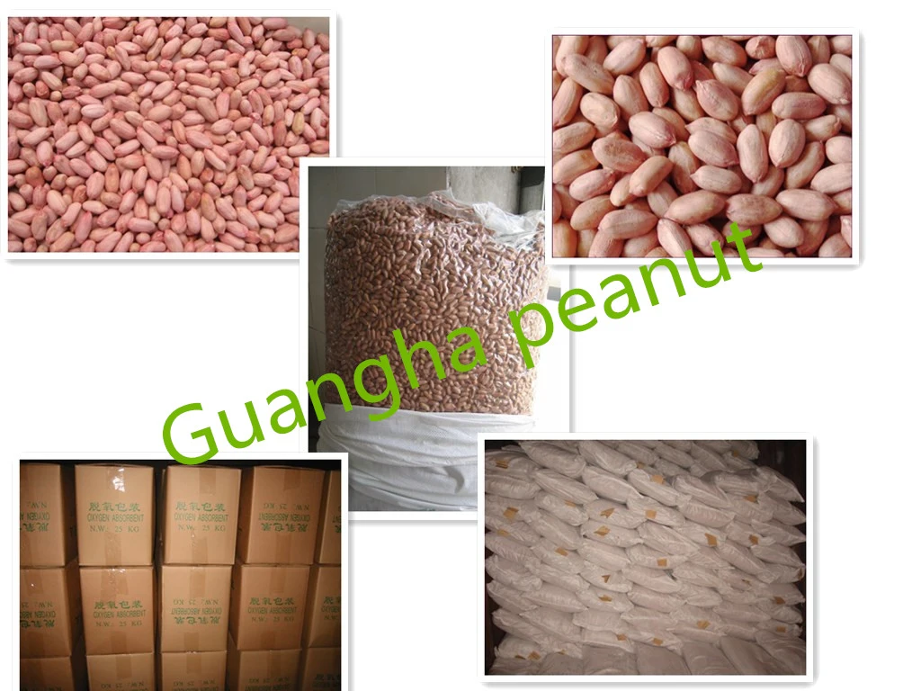 Best Quality Peanut Kernels with Skin