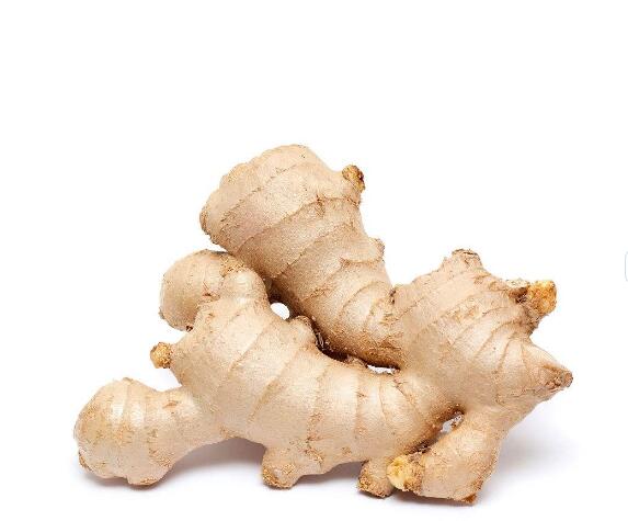 Ginger Extract