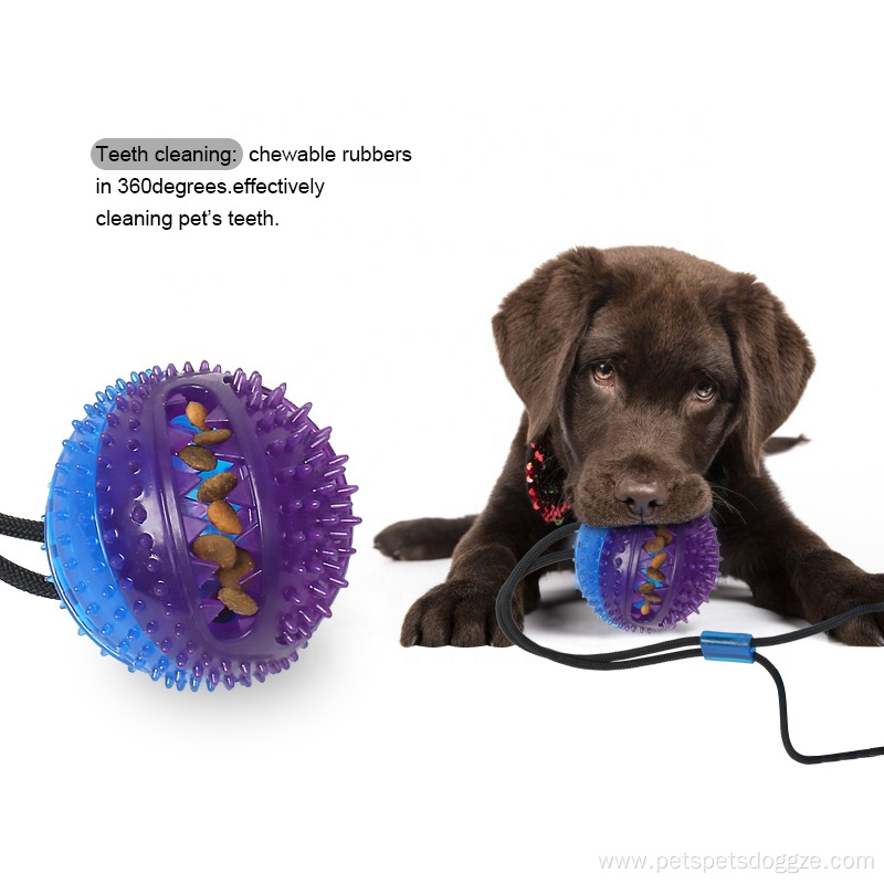 Cup Interactive Dog Pooshes Chew Toy With Bell