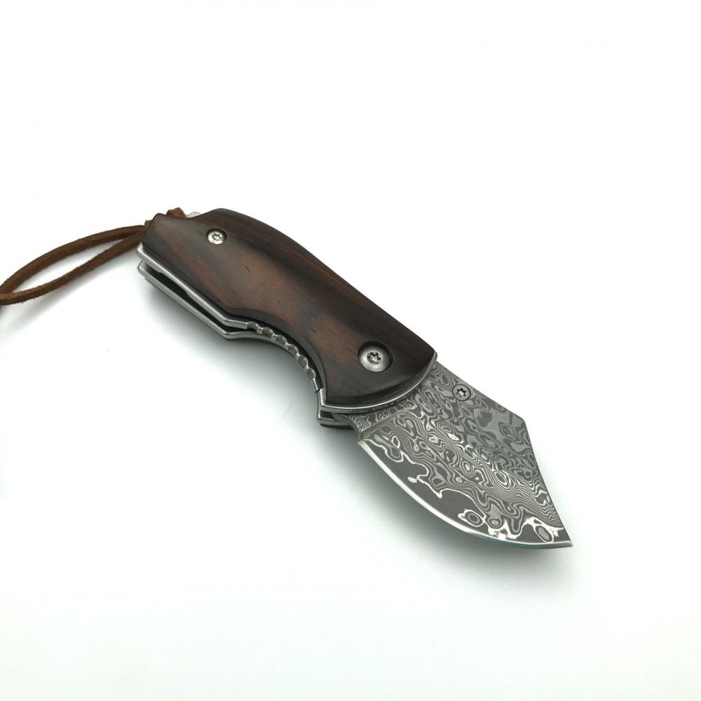 Damascus Knife