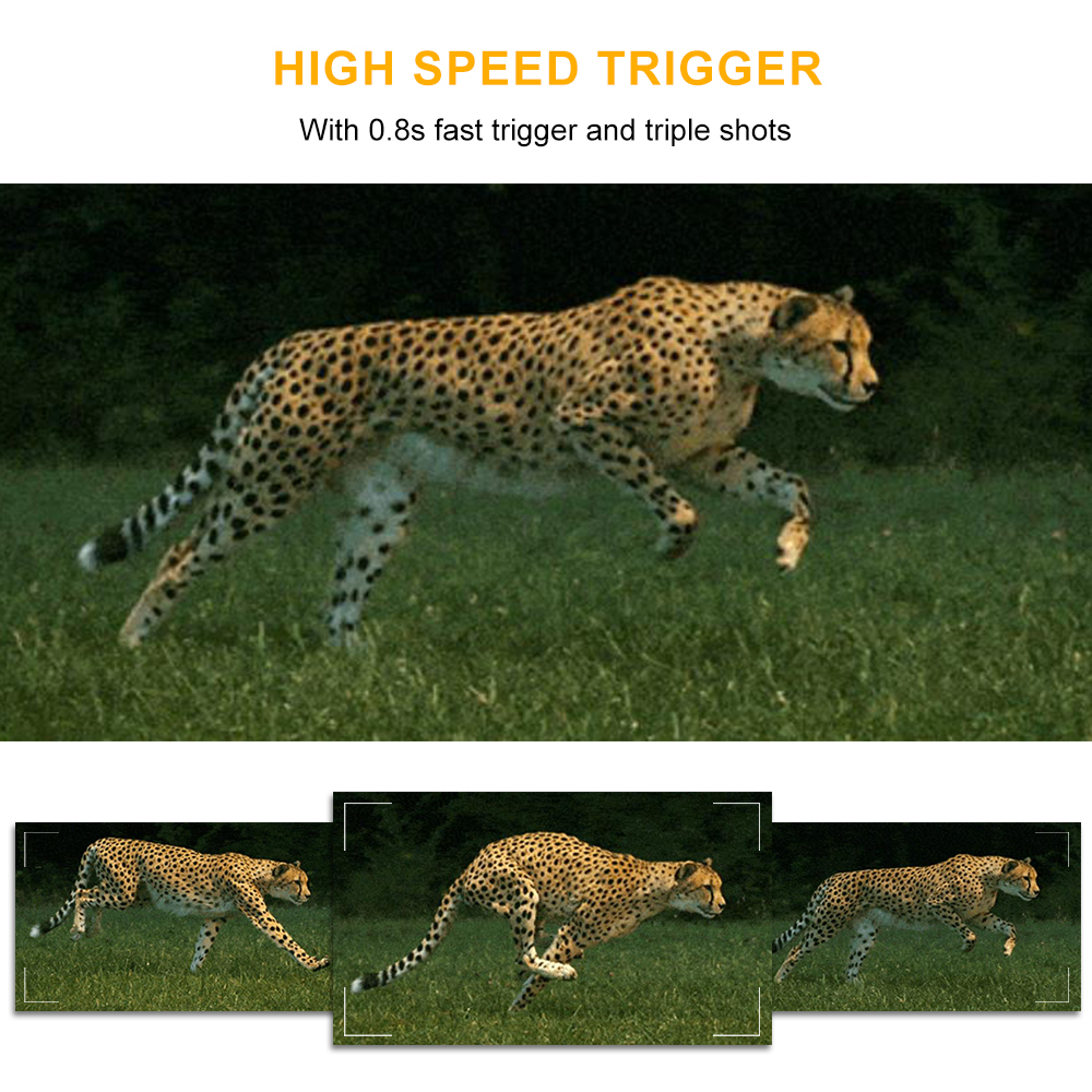 Hunting Camera Hunting Trail Camera Waterproof 12MP 1080P Game Hunting Scouting Cam with 3 Infrared Sensors for Wildlife