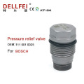 Fuel pressure relief valve 111 001 0025