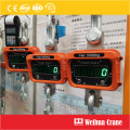 Crane Hook Electronic Scale