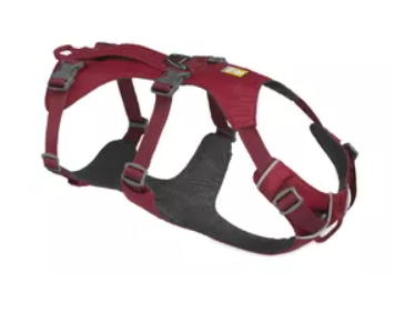 dog harness