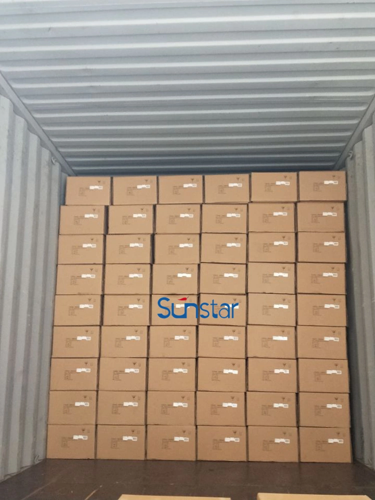 Anti UV Outdoor Plastic Flower Eucalyptus Artificial Plant for Home Decoration with SGS Certificiate (48454)