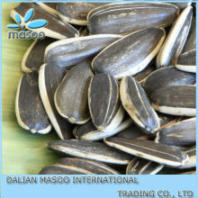 CONFECTIONERY - ANIMALFEEDING SUNFLOWER SEEDS, GIRASOL CONFITERO