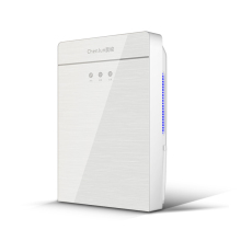 Quiet Energy Saving Dehumidifier: Beautiful & Practical for Home or Office