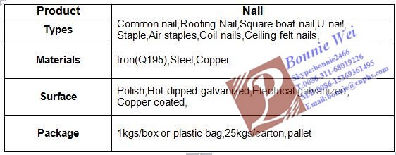 Hot dipped galvanized Spiral rolled roofing nail