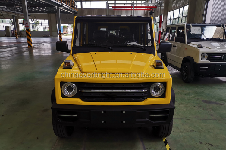 Hot Sale Cheap New Automobile Electric Car Vehicle New Four Wheel electric us car supplier