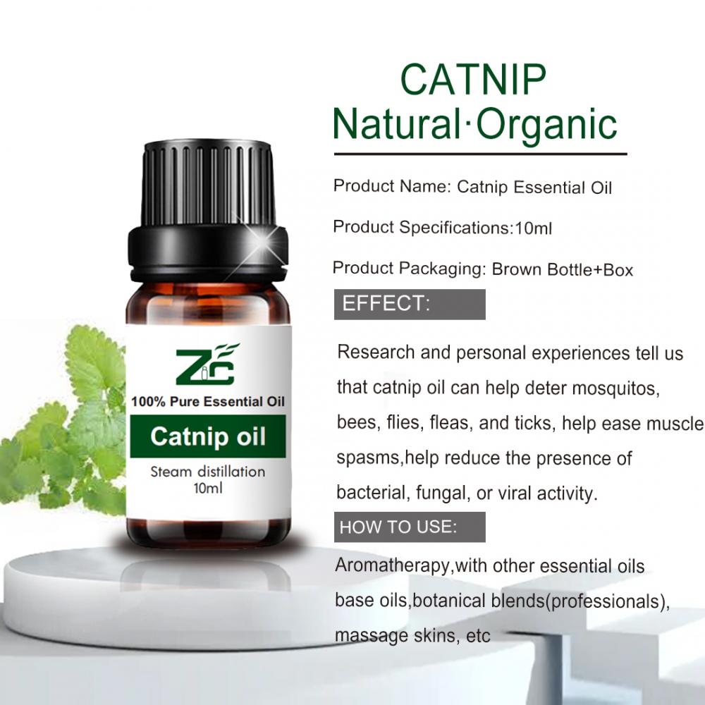 Natural Aromatherapy Oils Organic Catnip Essential Oil