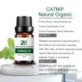 Minyak aromaterapi alami minyak esensial catnip organik