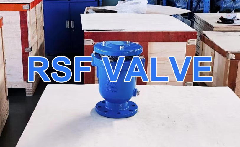 Combination Air Valve Rsf Valve Jpg