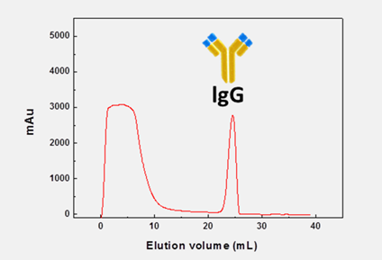 Affinity Chromatography Protein Purification