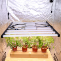 640W Hydroponics Led Grow Light PHLIZON