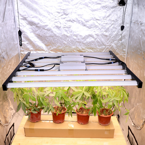 屋内植物640Wのカスタマイズ可能な成長光