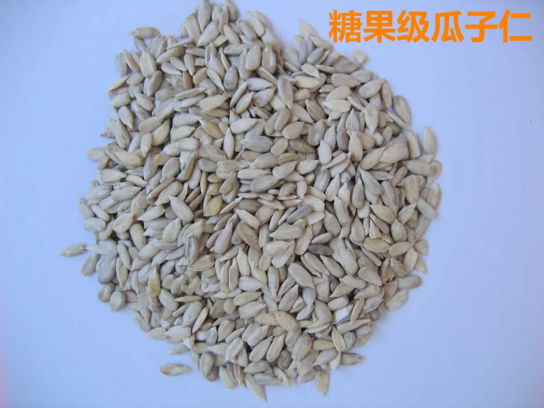 Hot Sale Original Sunflower Seeds Kernels