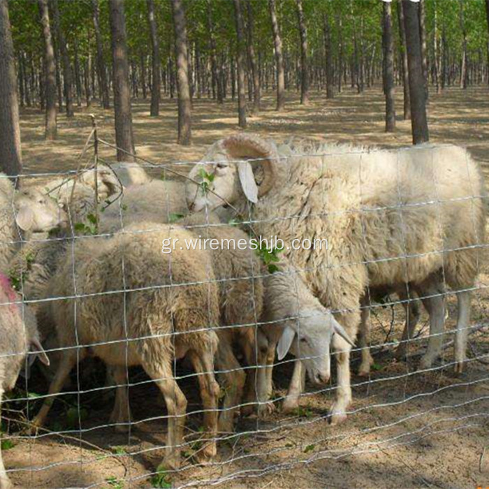 Ζελατινοποιημένα γαλβανισμένα δίκτυα Kraal