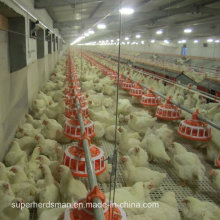 Equipamento de avicultura automática para manejo de frangos de corte para pais