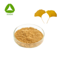 Ginkgo biloba extrait la médecine en poudre en vrac biologique