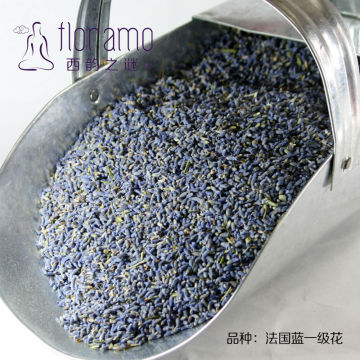 French lavender blue Xinjiang Lavender Herbal Tea