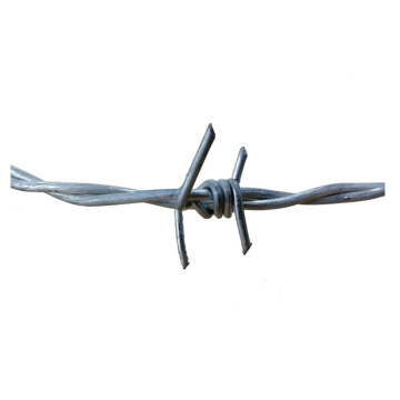 Cheap Double Steel Twist Barbed Wire
