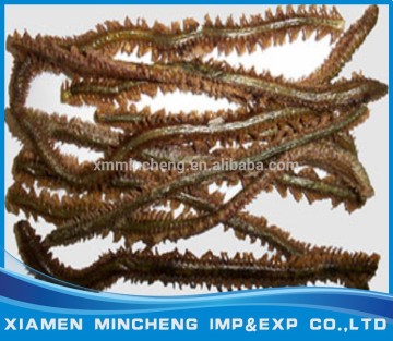 High quality fish food Freeze dried polychaete