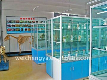 WCY Biological Specimen Cabinet/Laboratory Equipment/Furniture