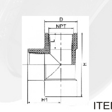 BS4346 Waterv Upvc Тройник с внутренней резьбой белый