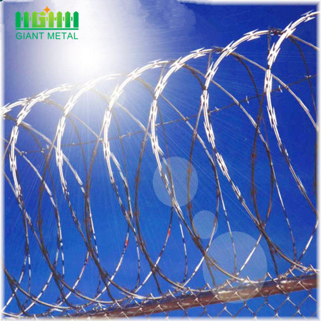 Hot sale security fencing galvanized razor barbed wire