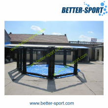 Ufc Ring, Also Called The Octagon