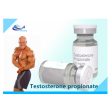 Bodybuilding Steroids Hormone Testosterone Propionate