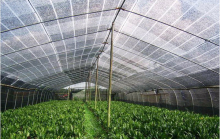 virgin  raw material shade net