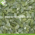 Bekalan Nutrisi Pukal Kernels Nut Buluh Kering