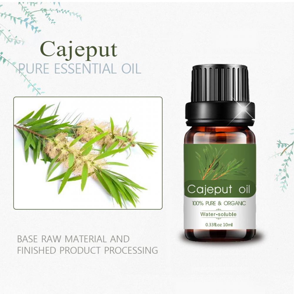 Custom 10 ml 100% pur arôme de cajeput huile essentielle