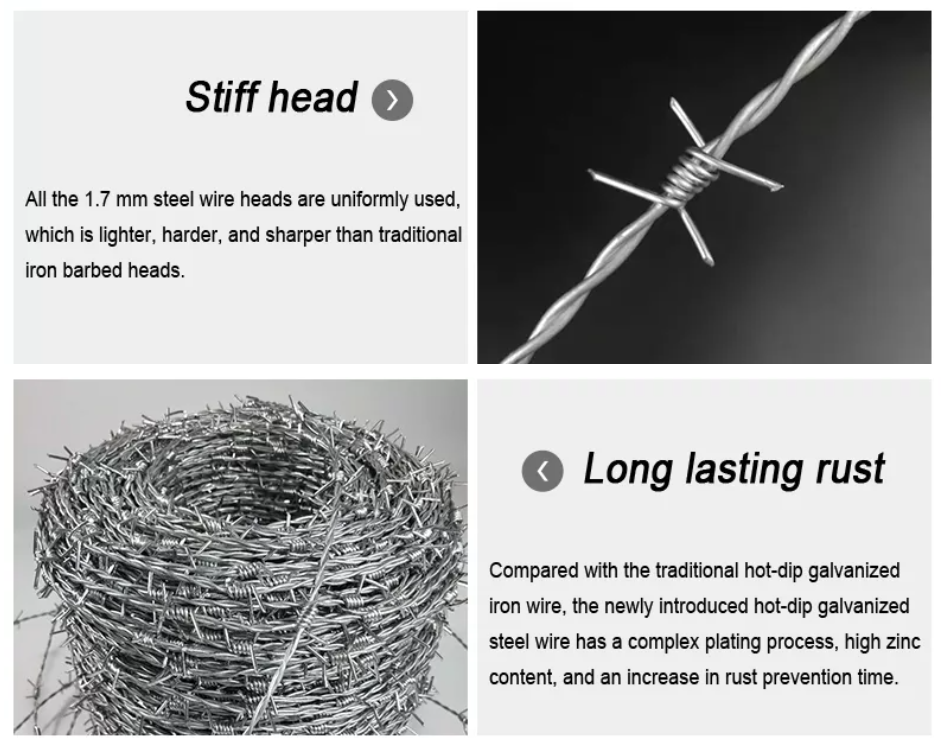 Galvanized Pvc Barbed Wire 