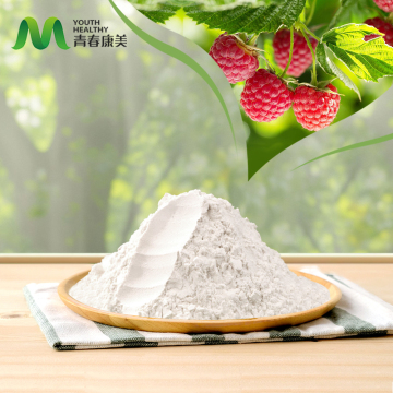 Brain Boosting Raspberry Extract