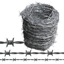 Hot sale Galvanized barbed wire