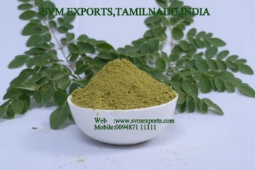 Aromatic Moringa Leaf Powder Suppliers India