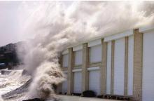 Hurricane Shutter / Storm Shutters