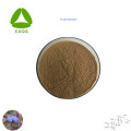 Ajuga Turkestanica Turkesterone Powder Supplément alimentaire