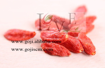 TOP QUALITY NINGXIA GOJI BERRY ORIGIN ORGANIC