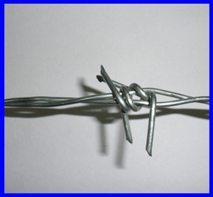 SGS electro galvanized barbed wire for sales