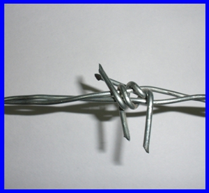 BV/SGS hot dipped galvanized barbed wire