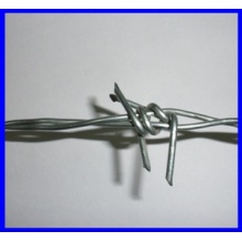 BV/SGS hot dipped galvanized barbed wire