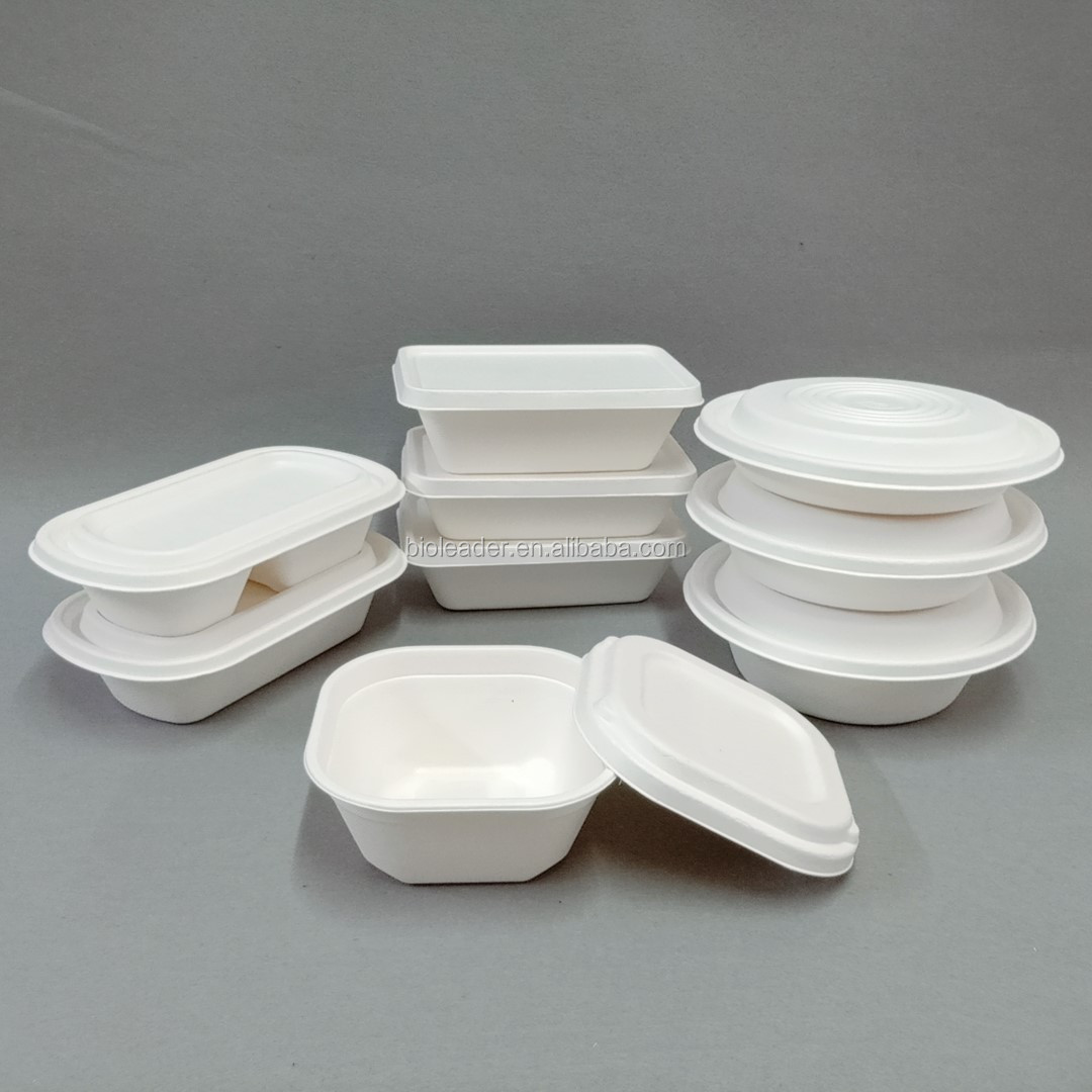 Biodegradable Bagasse Food Containers Take Out Box with 2 Compartment